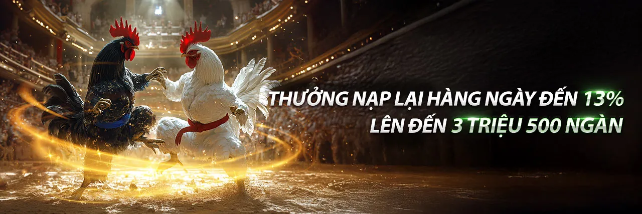 Hình ảnh chính ev999